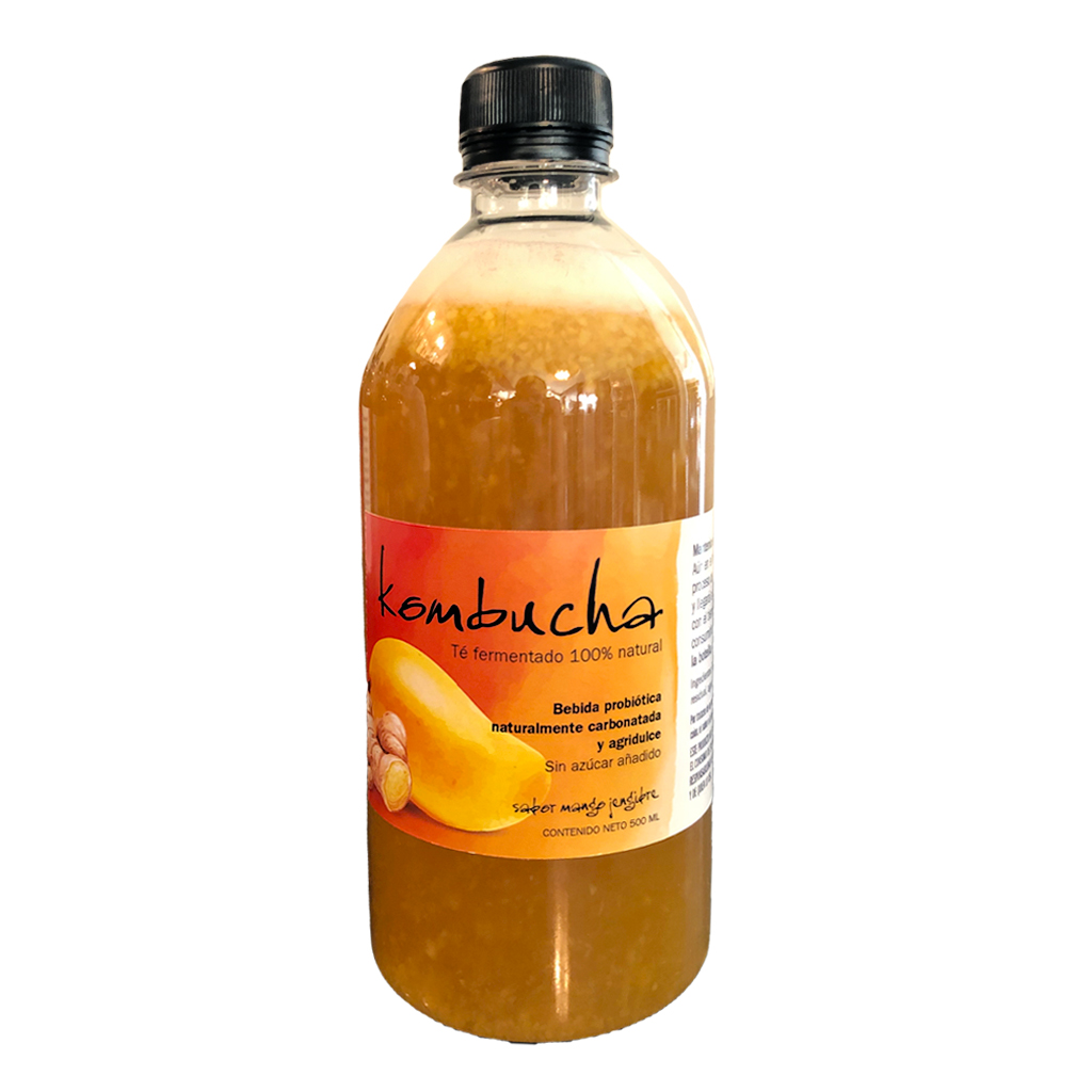 kombuchamango_ananda