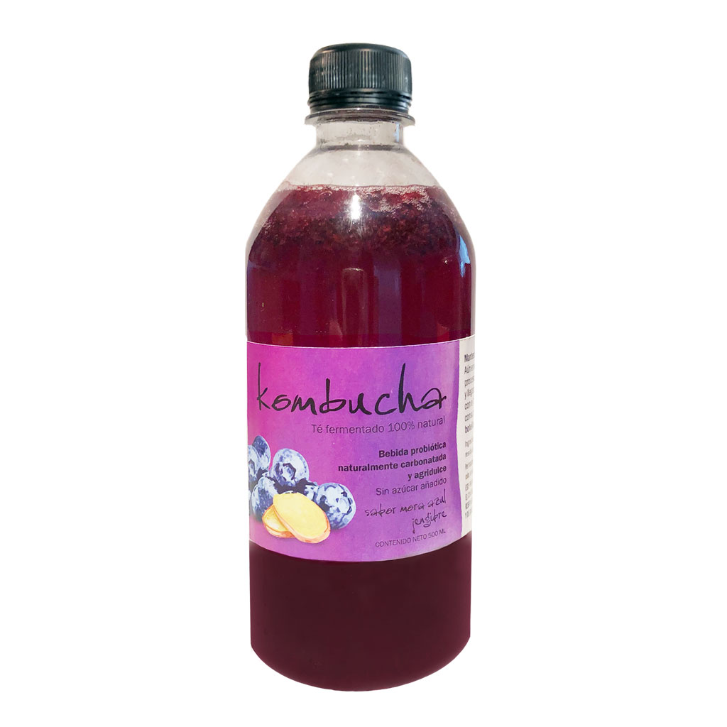 kombuchablueberry_ananda
